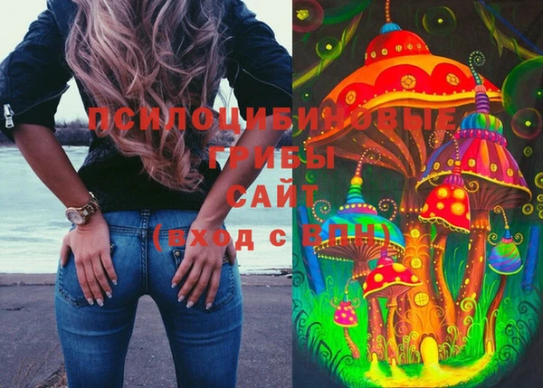 винт Алзамай