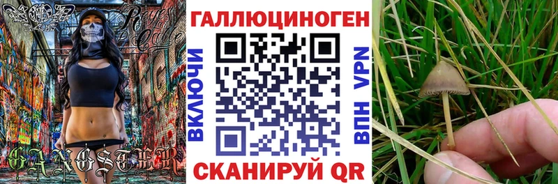 Псилоцибиновые грибы MAGIC MUSHROOMS  магазин  наркотиков  Ковров 