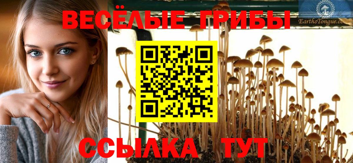 Ковров  Псилоцибиновые грибы Magic Shrooms  Галлюциногенные грибы GOLDEN TEACHER  Вход с VPN 