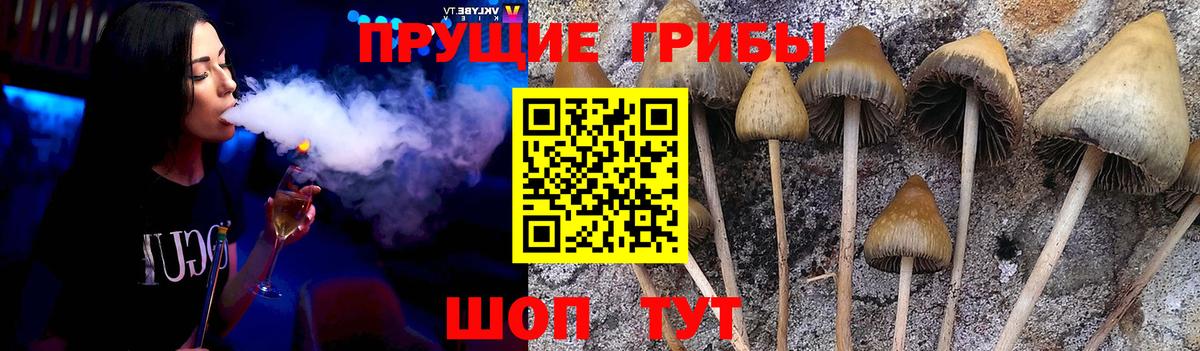 Псилоцибиновые грибы Magic Shrooms Ковров