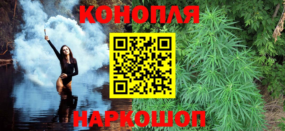 Бошки марихуана конопля  Конопля марихуана  Бошки Шишки планчик  Ковров  Вход с VPN  Шишки марихуана конопля 